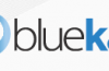 bluekai_logo