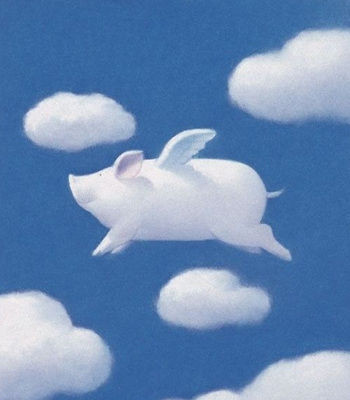 skypiggy