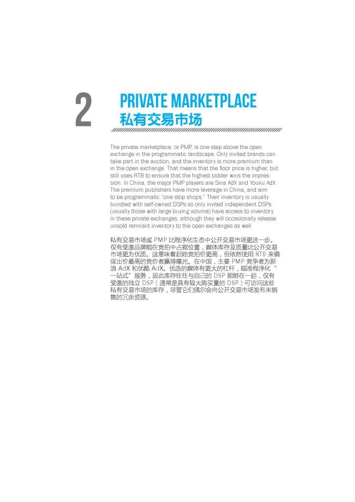 China's Programmatic Landscape(1)_000008