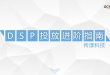 传漾：DSP投放进阶指南［详细图］-RTBChina
